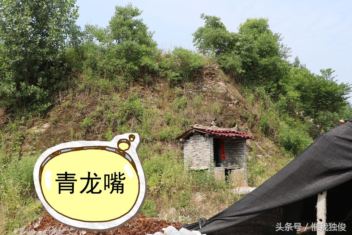 随州太白顶风景区简介视频,发现之旅神农架野人之谜