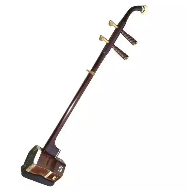 *兽禽**！杭州11岁女童学二胡，老师“手冷”直接伸进衣服里……