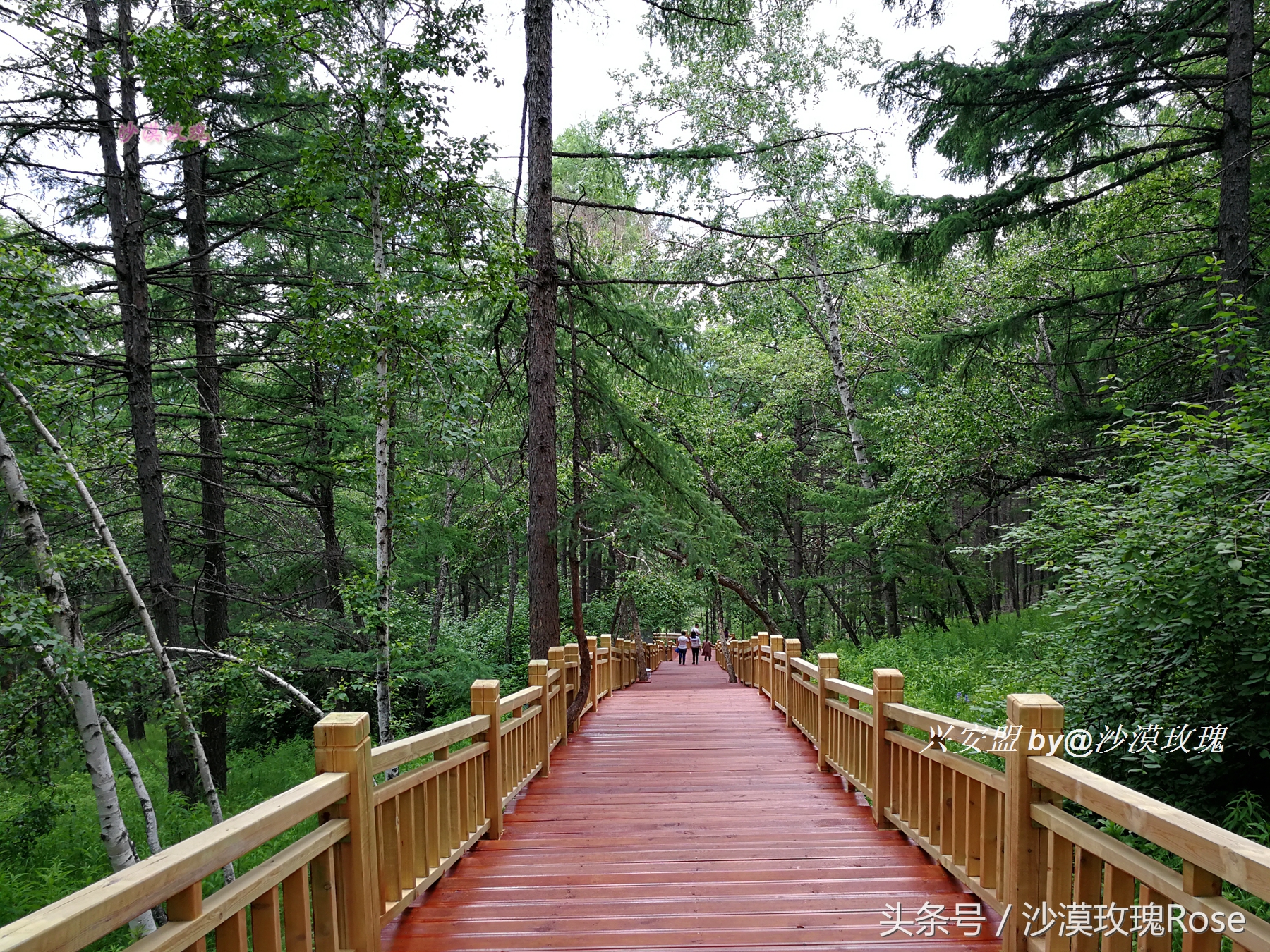 与瑞士齐名的地方,与瑞士媲美的地方