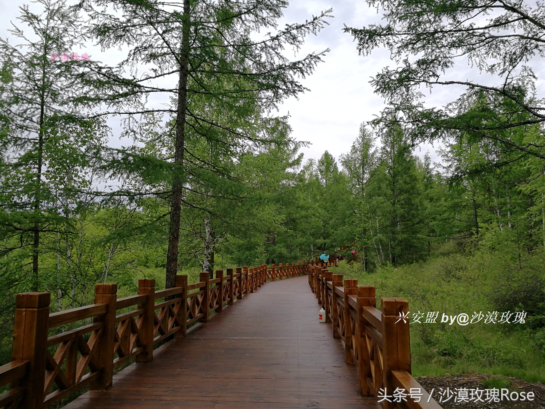 与瑞士齐名的地方,与瑞士媲美的地方