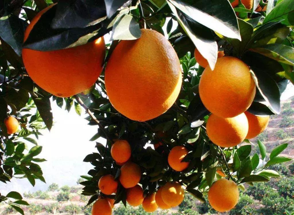 下一站湘府路站,下一站湖南