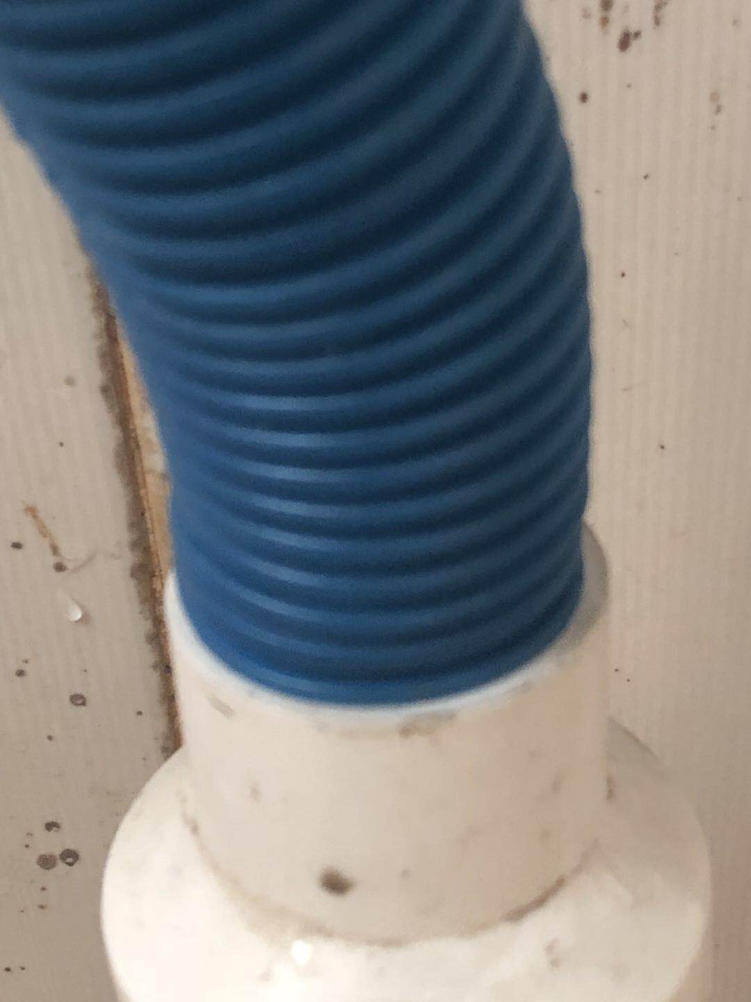 怎样防老鼠进家,咋样防止老鼠进入我家