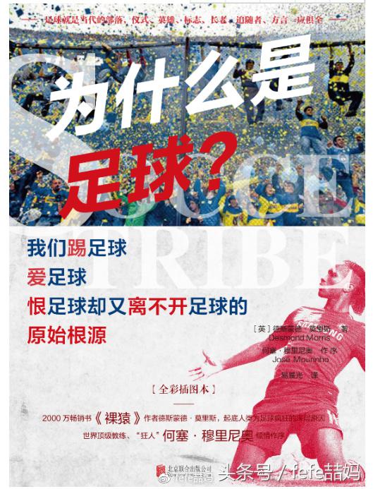 世界杯必读书籍,足球书籍世界杯