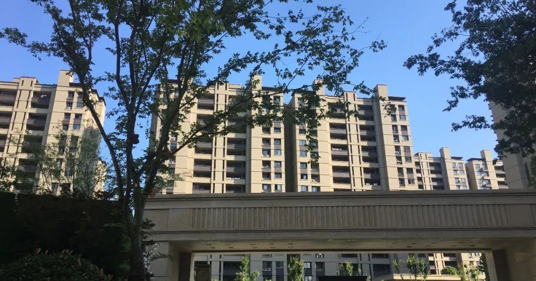 卢俊接受采访,卢俊的全部视频