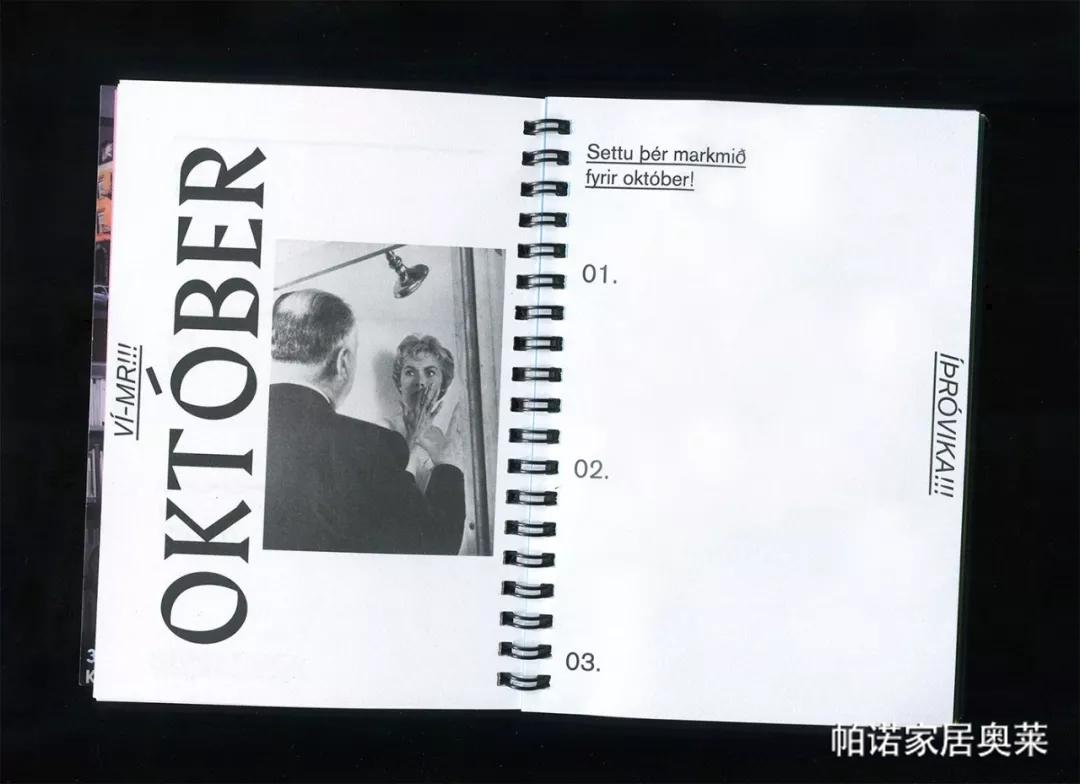 冰岛火,冰岛出名的东西