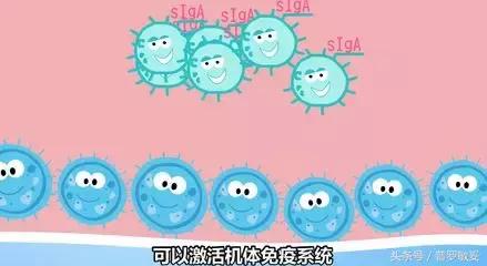 论定制｜益生菌是治疗小儿过敏性咳嗽的“良药”