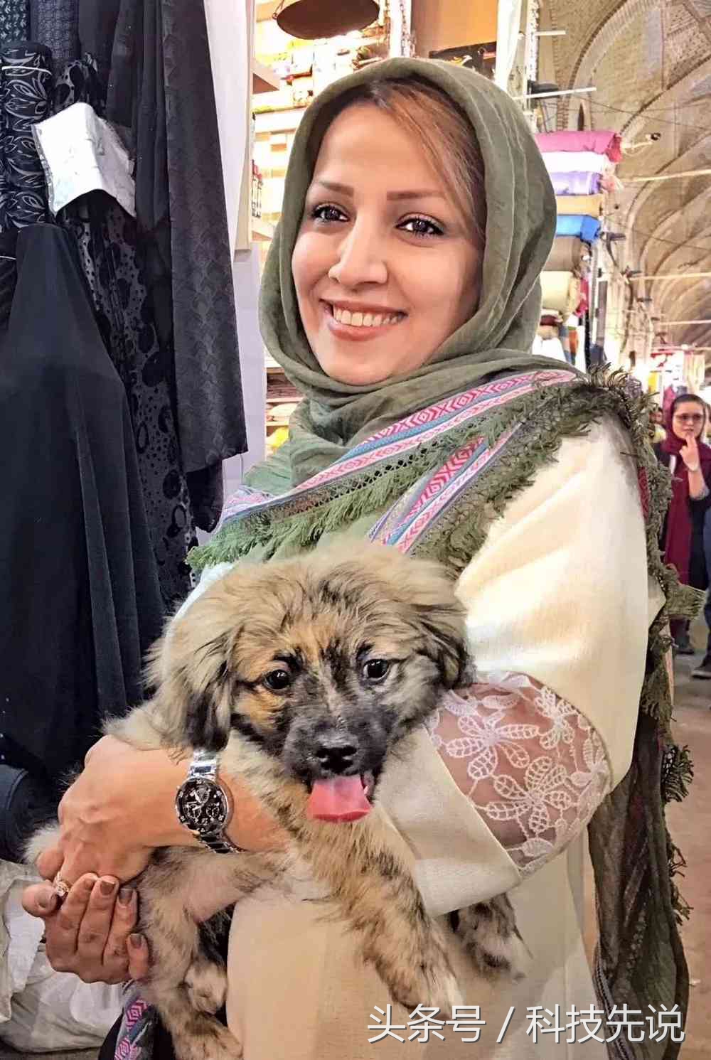 最惊艳的伊朗女球迷,伊朗女球迷最美时刻