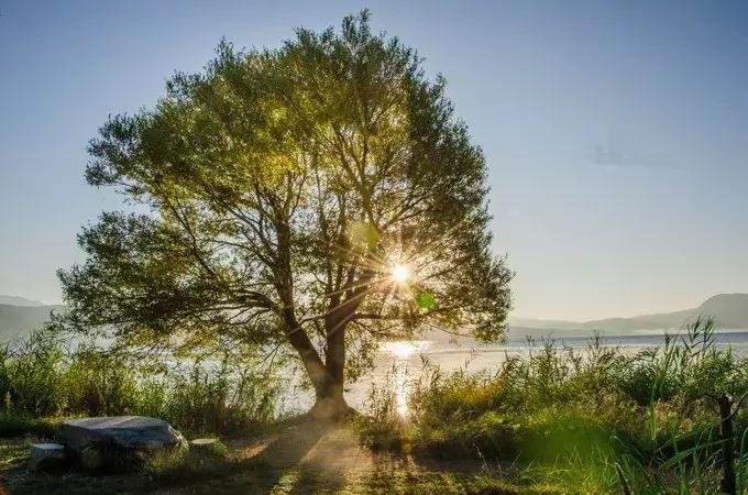 大理到昆明高铁票价,大理到昆明火车时刻表及票价