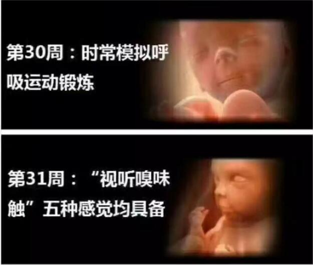 孕妈十月怀胎，详解每周小宝宝在妈妈肚子里发生了哪些变化，实用