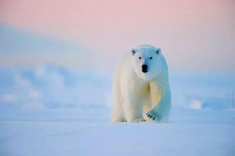 工资低于1万的人怎么生活,工资低于1000的人怎么生活