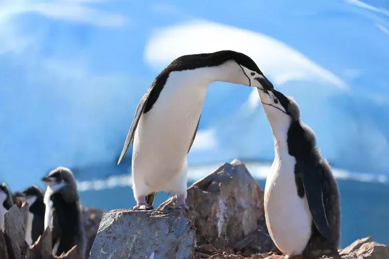 工资低于1万的人怎么生活,工资低于1000的人怎么生活