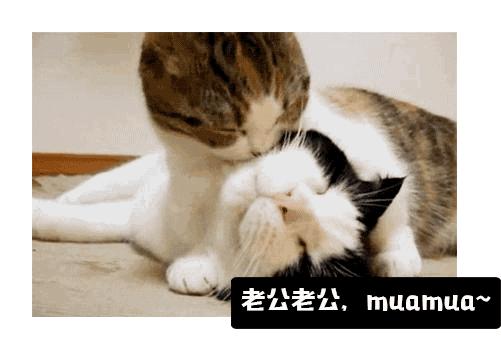 和女朋友接吻口臭怎么办,女朋友口臭还口苦怎么办