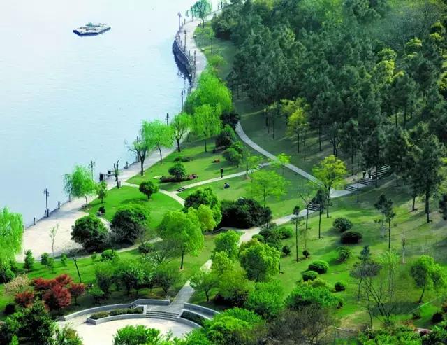 义乌江滨绿廊景点,义乌江滨绿廊公园绣球花