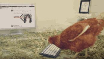 ps各功能键的详细用法,ps功能键介绍和操作说明