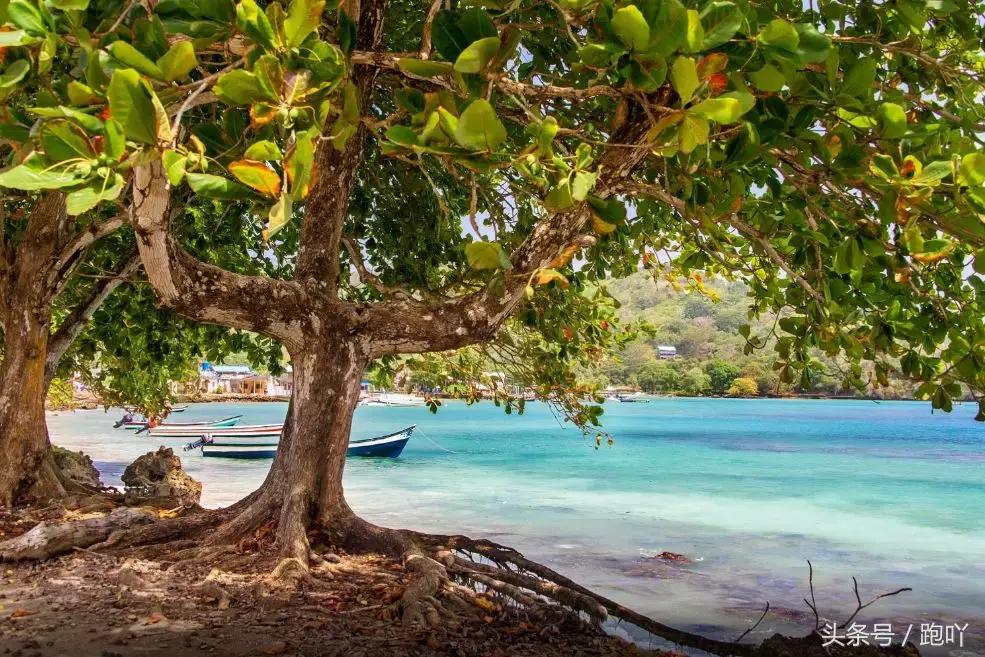 世界杯进球最多的国家是哪国,世界杯进球最多的国家是哪个国家