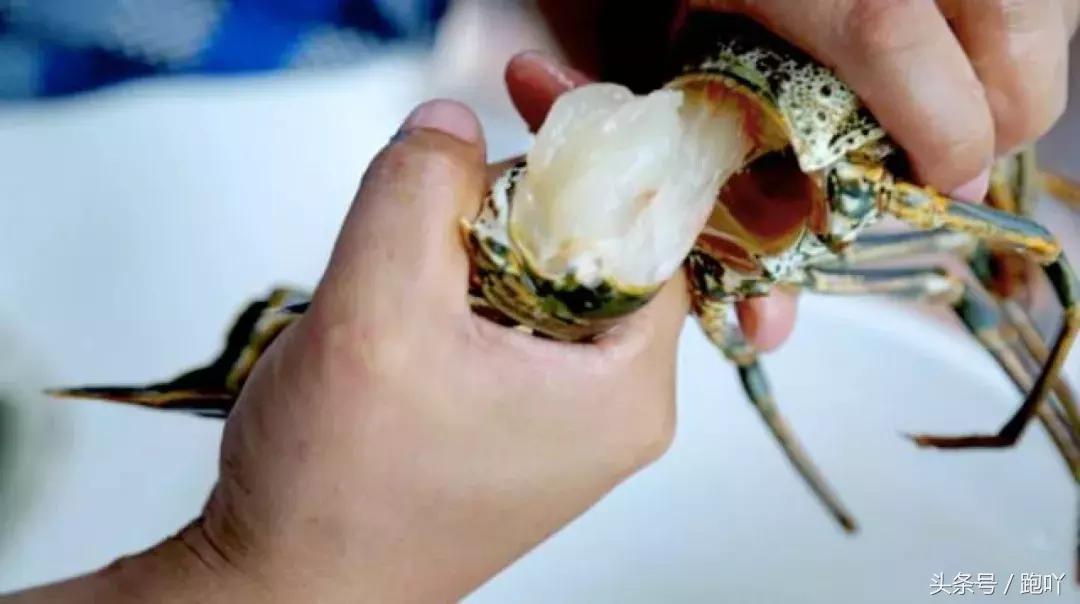 单次世界杯进球最多的国家,世界杯进球最多一场的国家