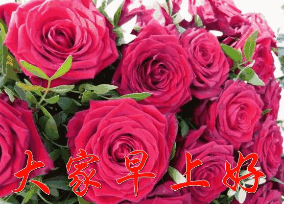 微信朋友圈早上好表情图片大全,早上好微信动态表情精美图片大全