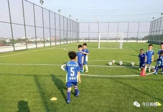 世界杯踢球场地是不是草坪,世界杯足球场有没有篮球场大