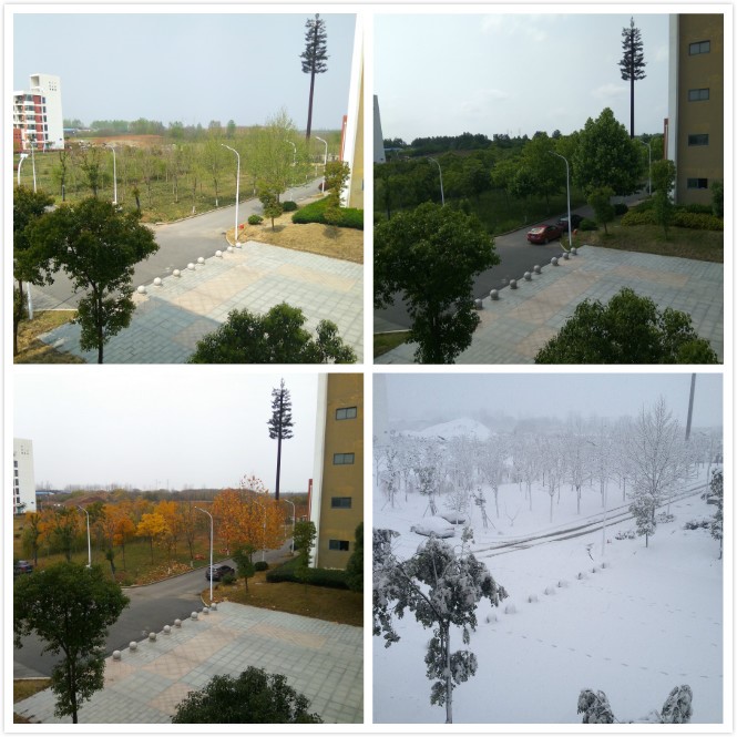 这是一个简单的填空题,填空什么的教室