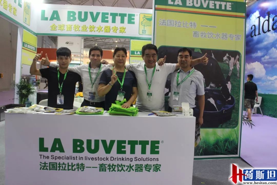 荷斯坦展览会,荷斯坦牛展