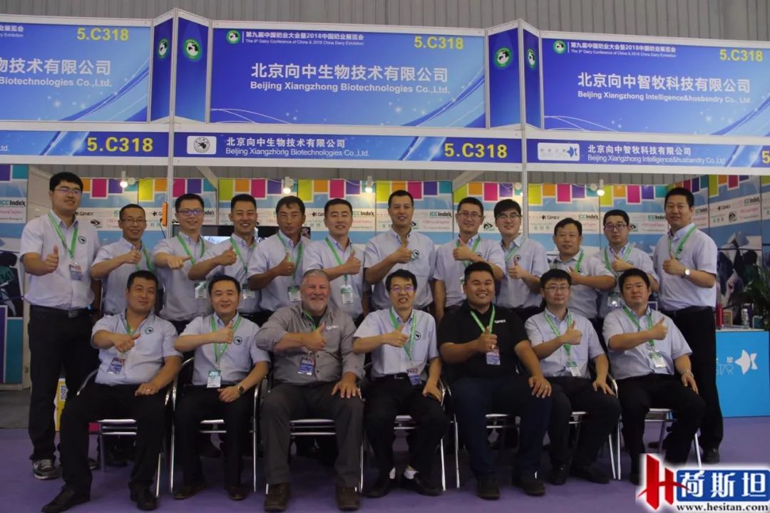 荷斯坦展览会,荷斯坦牛展