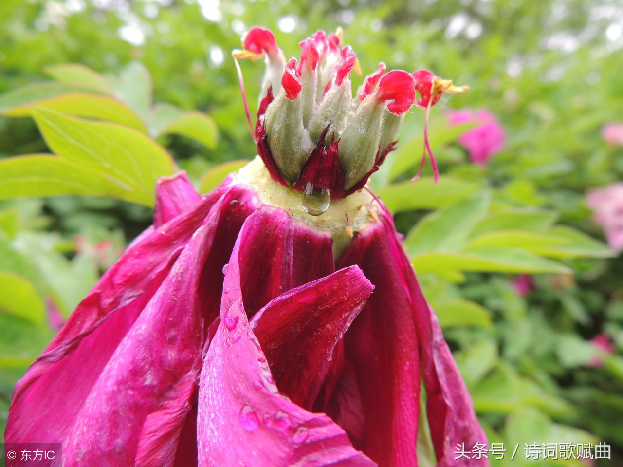 双调六十二字词牌,双调六十二字的词牌