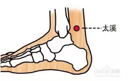 男人养肾正确有效方法,男性养肾的10个技巧