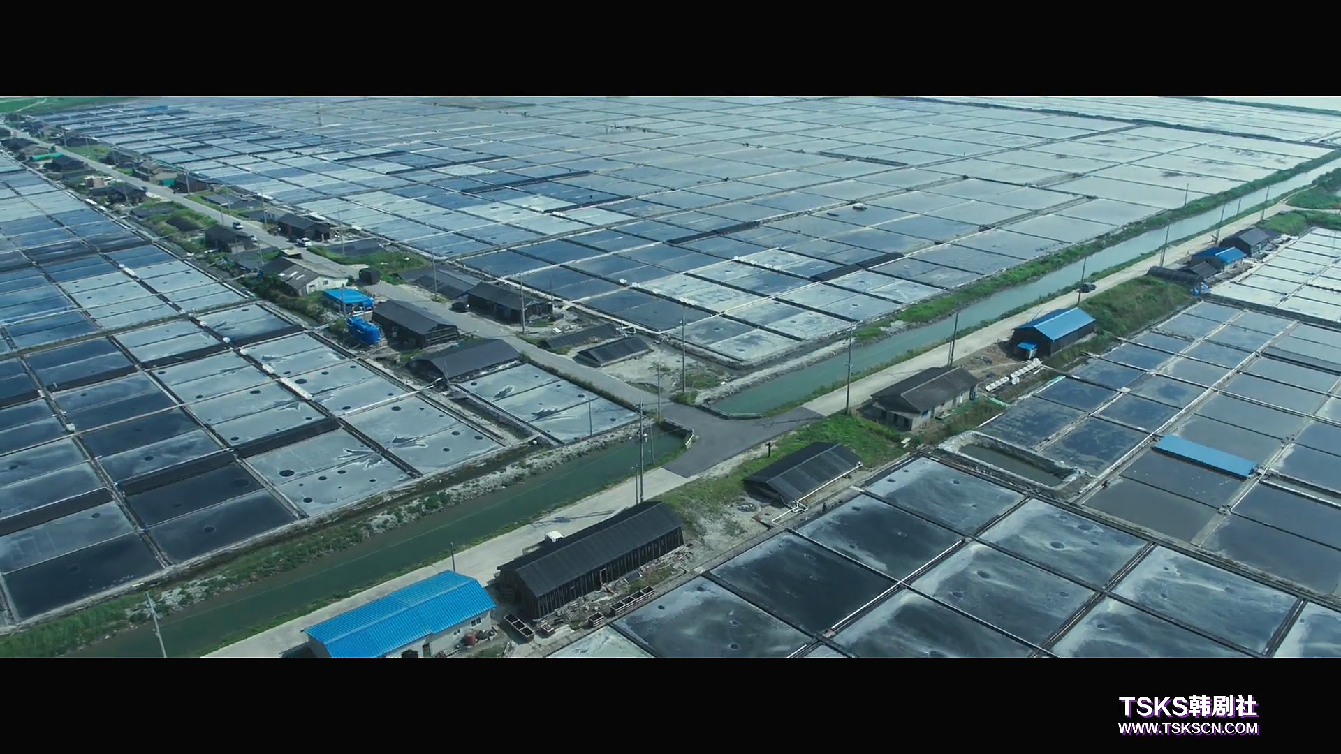 复仇与救赎,韩国复仇电影无尿点