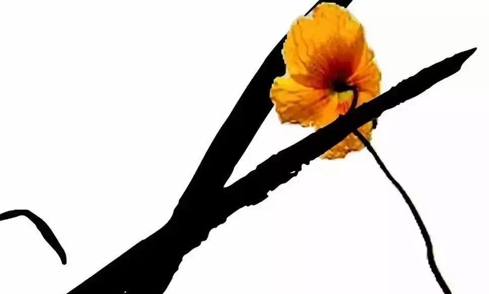 openai打败dota2冠军,openai爆锤世界冠军