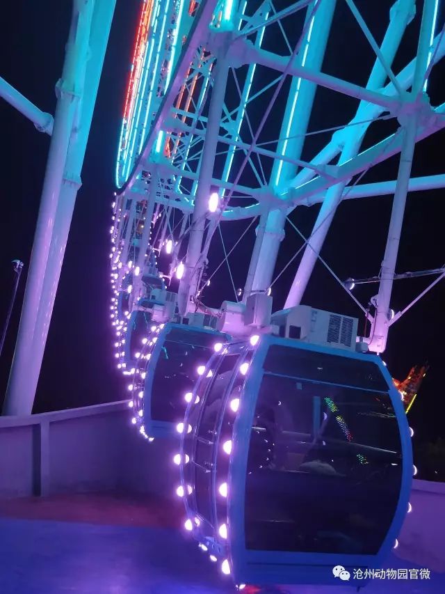 夜场游乐园24小时营业,园博游乐园夜场门票