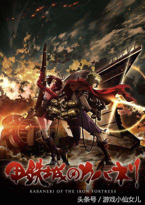 老番有什么推荐,老番推荐2010