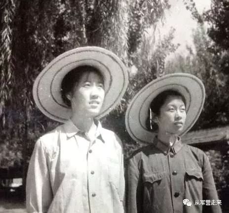 医院劳动故事视频,检验工作的故事