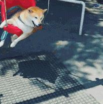 电竞小奶狗推文,推文小奶狗