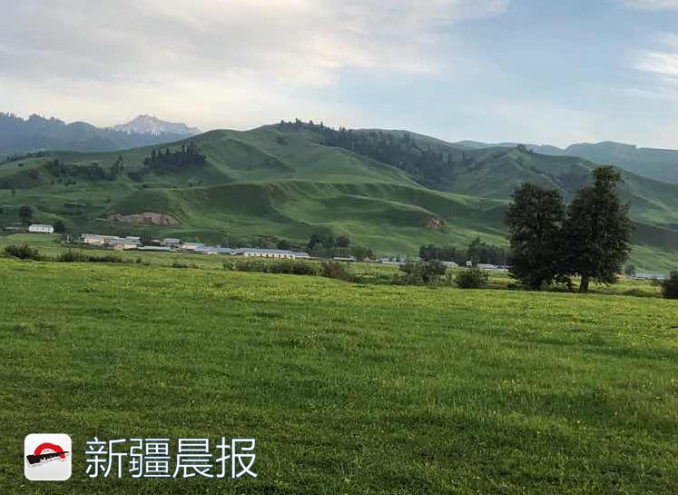 2021年兵团特岗教师招聘,2019新疆兵团特岗教师招聘