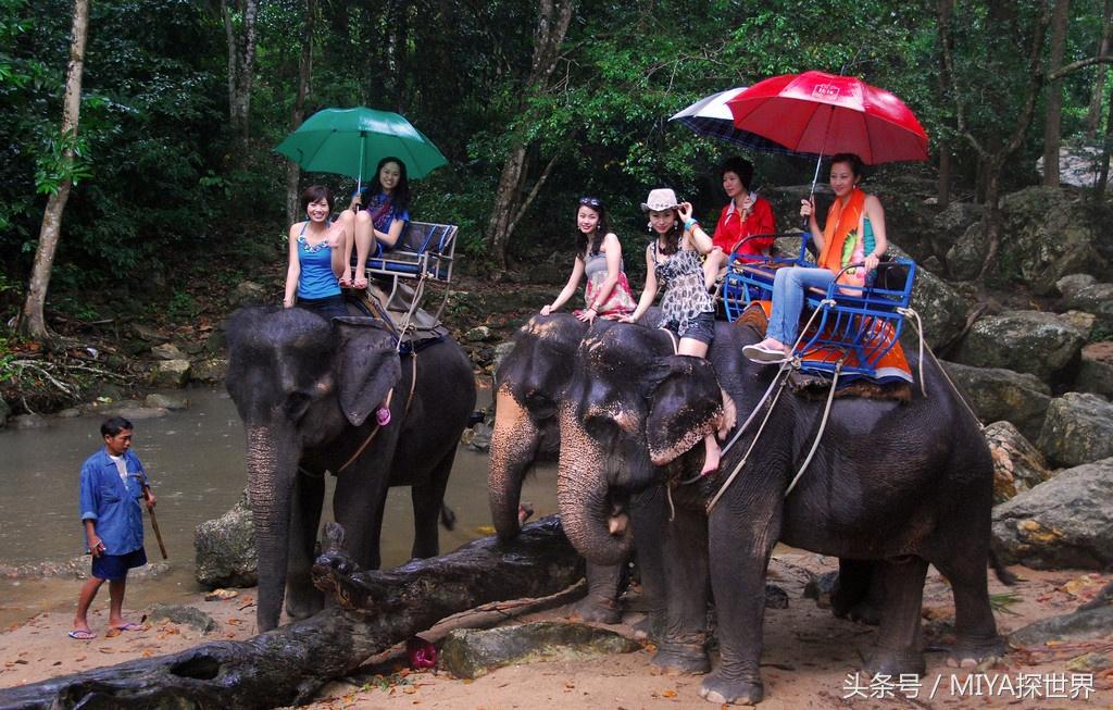 泰国的这几样东西，本地人几乎都不买，但却都给中国人买到断货！