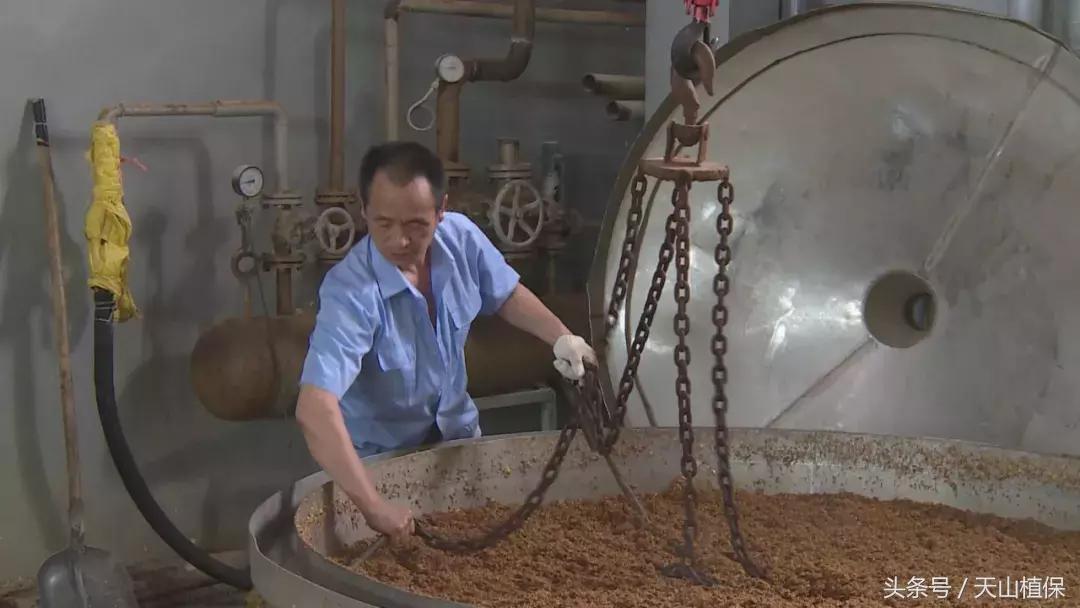 十师团场改革：富了职工活了企业