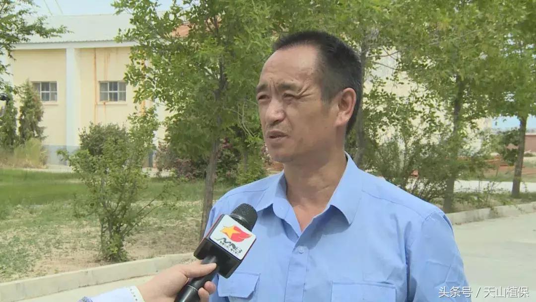 十师团场改革：富了职工活了企业