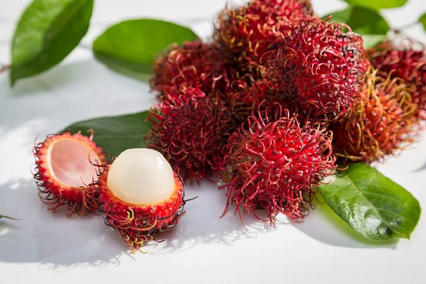 红毛丹营养价值及功效,红毛丹果营养和功效与作用