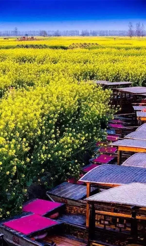 这竟然是农村！中国最美乡村Top10，有你家乡吗？