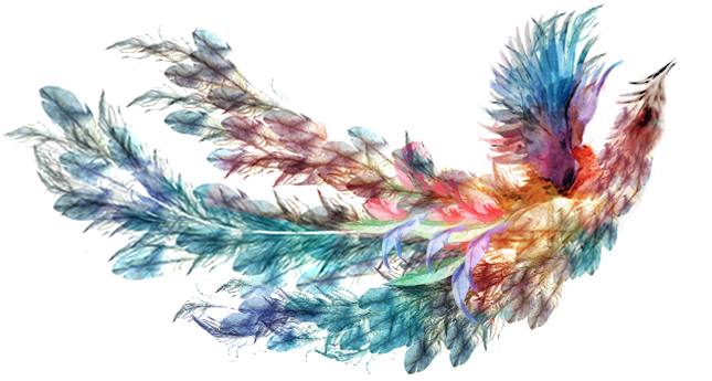 每天一个冷知识下一句,每天一个冷知识分析