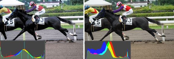 爱普生l551墨仓式多功能一体机,彩打墨仓打印机1000以下