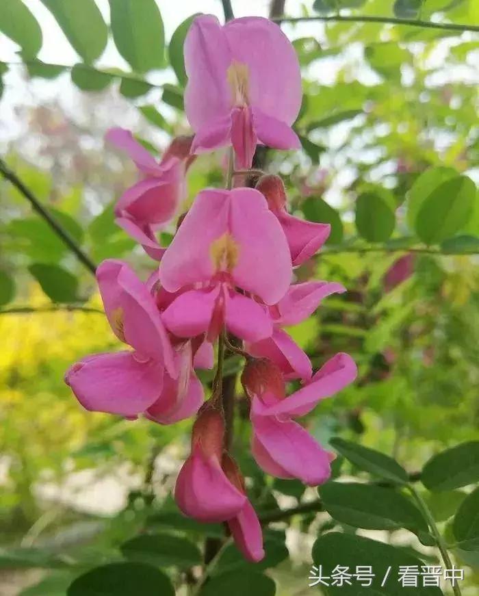 情系职中(杨保卫)