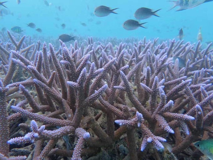 一个人的浪漫旅行视频,一个人的浪漫旅行自由自在