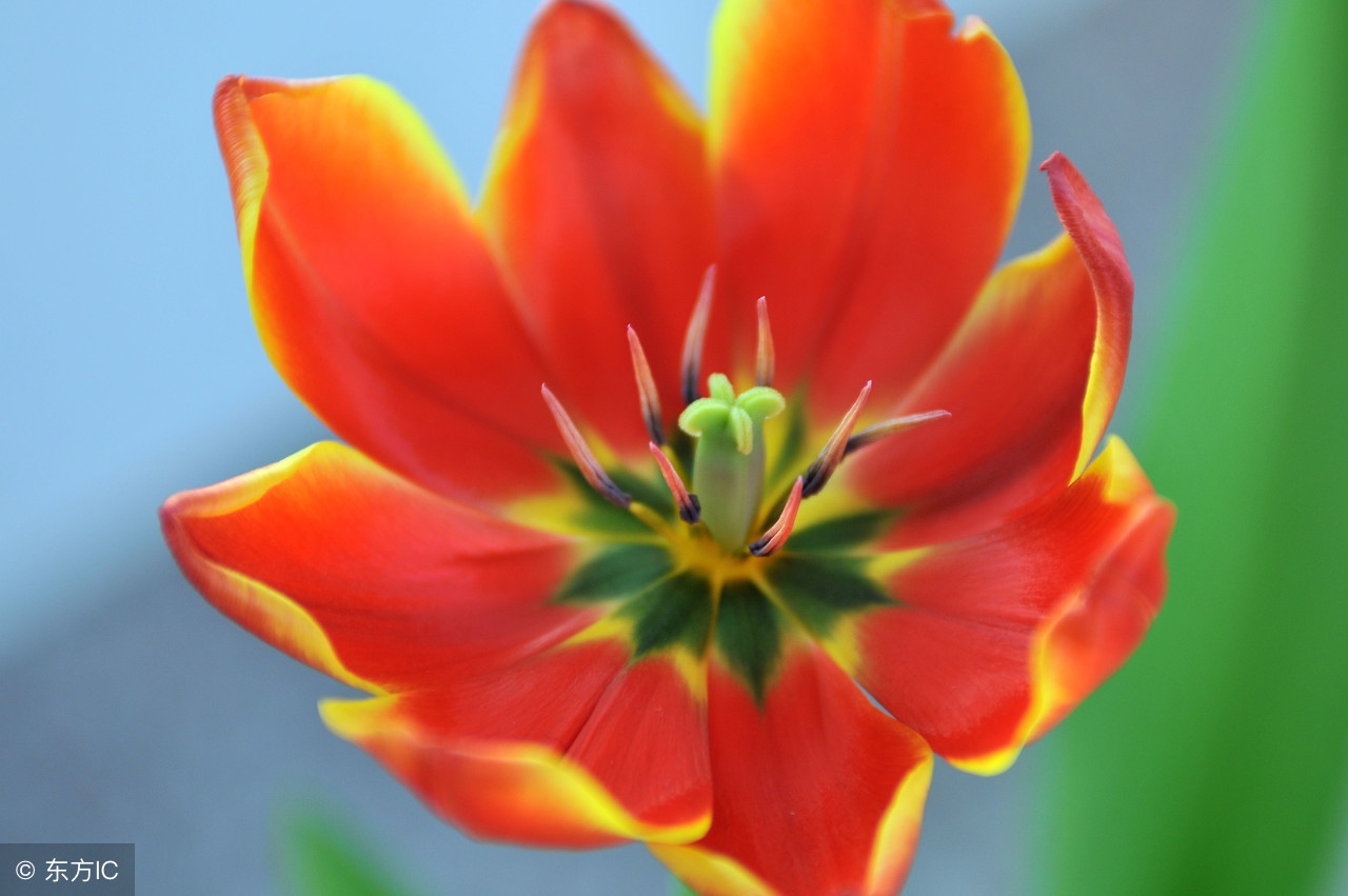 99个珍贵秘方,99种养生秘诀