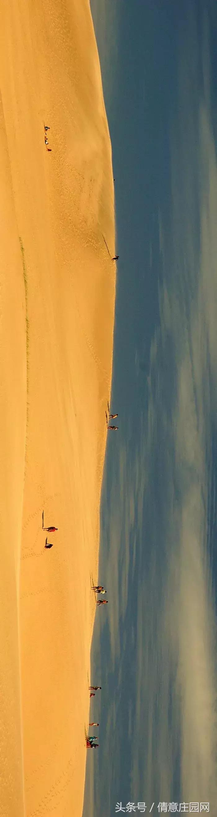 乌拉圭看韩国葡萄牙,乌拉圭5比0足彩赔率