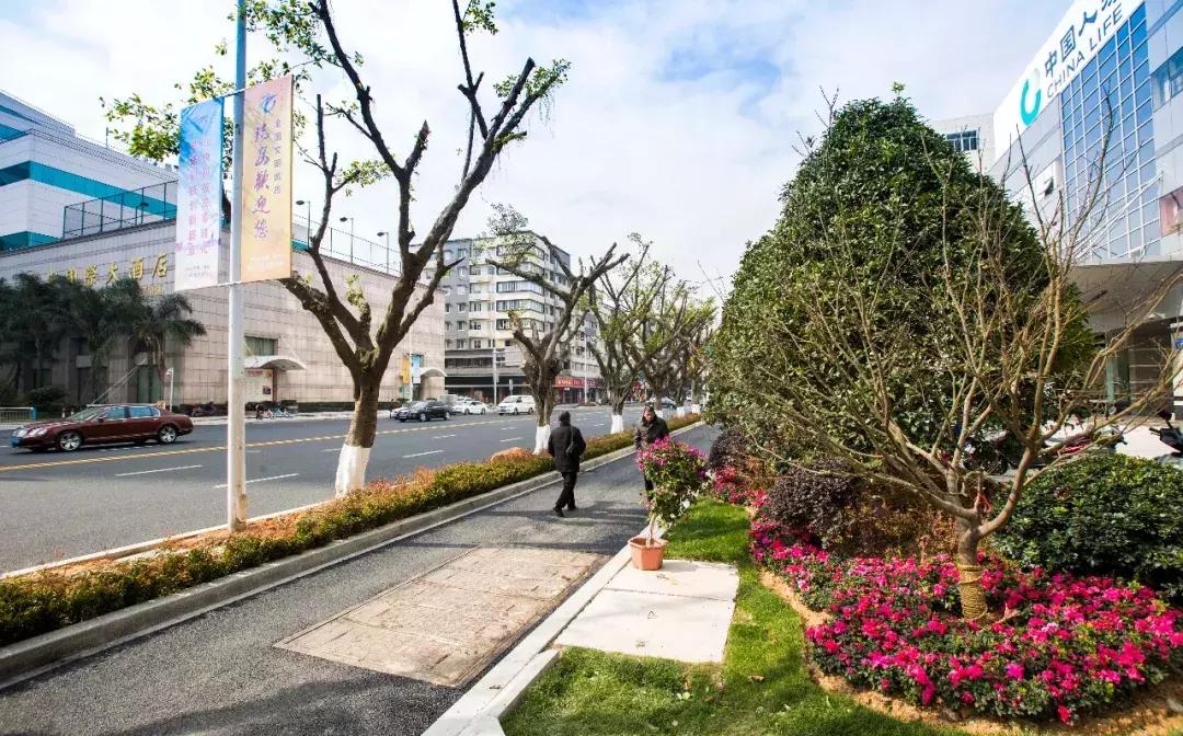 瑞安各镇gdp2019排名,瑞安百强县排名第几名