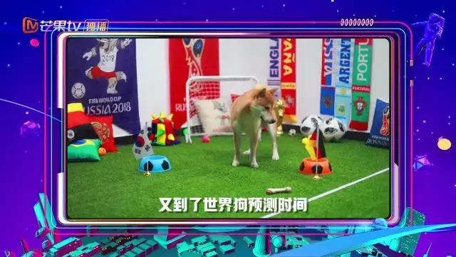 世界杯狂欢，版权旁落的“爱腾芒”以新打法解锁“体育+”综艺