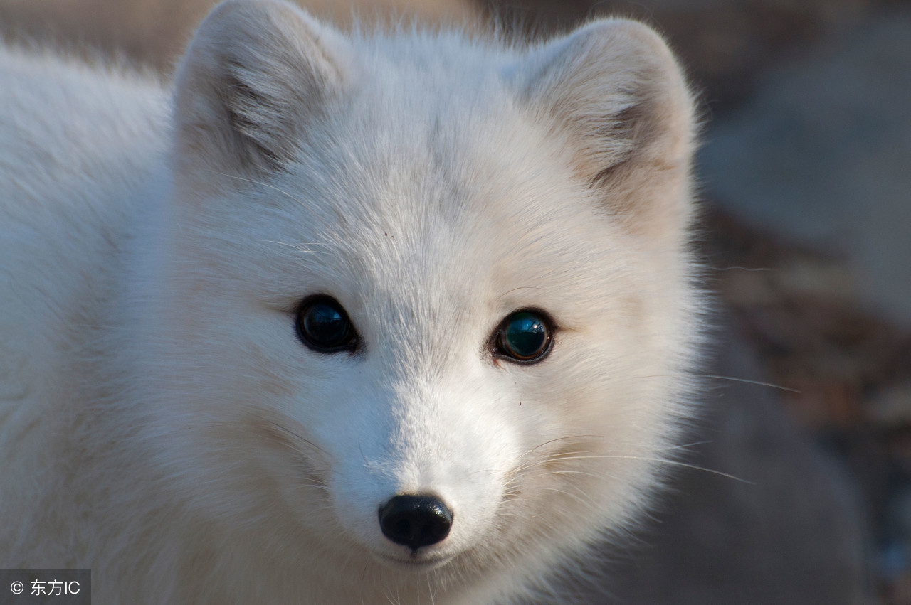 作家专访︱陈佳同:想象力让生活不再只是一种颜色