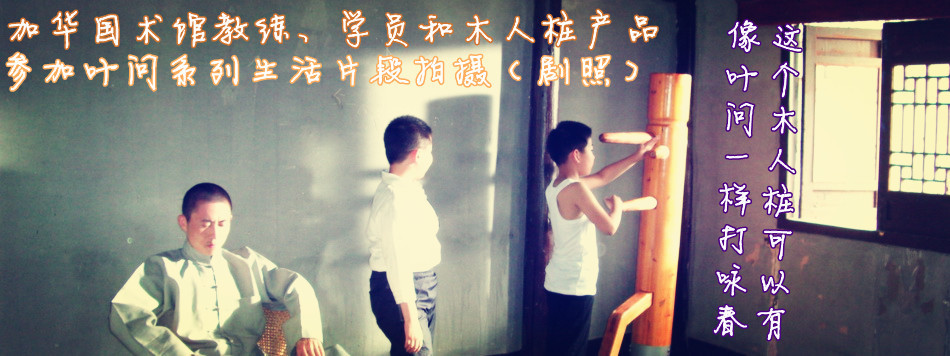 邵长华武术培训视频,邵长华武术教学