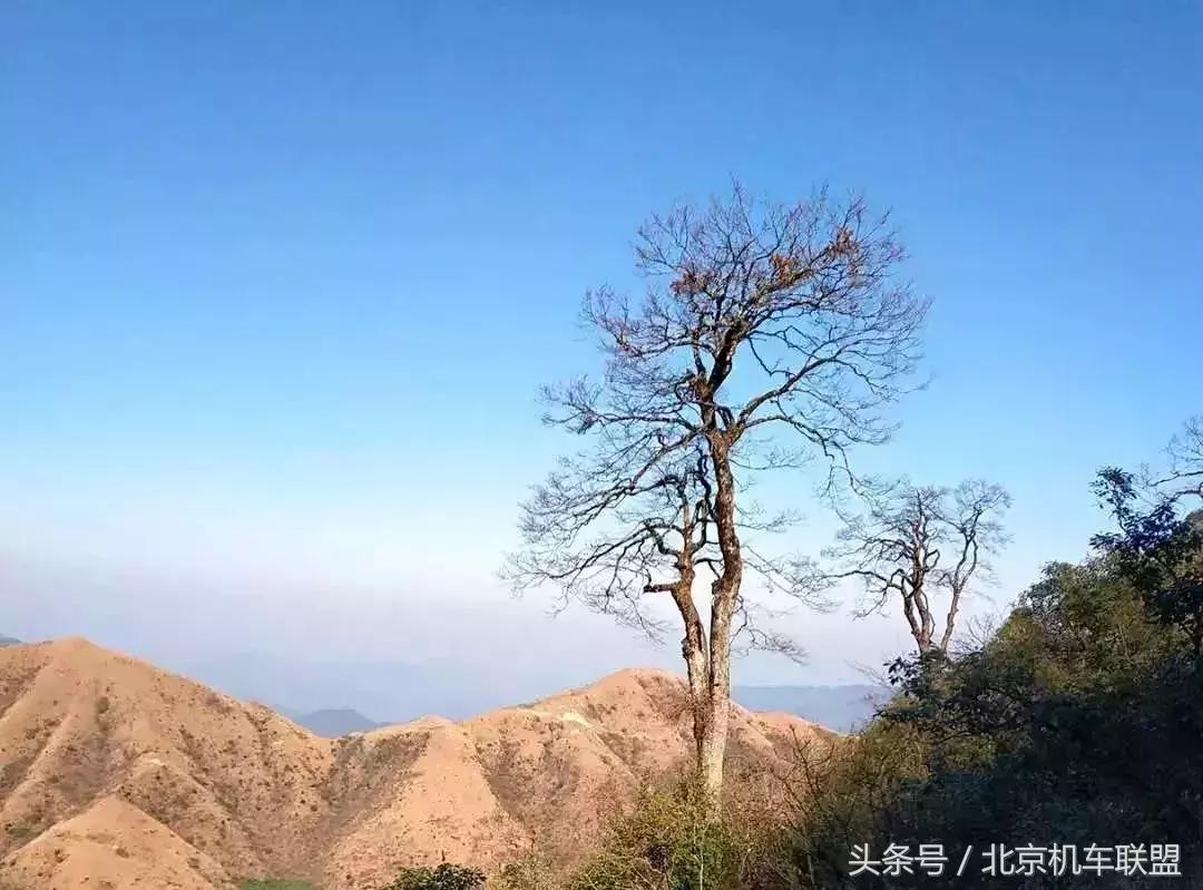 鎽╁弸鍏矾涓婂睍绀烘懇鎵樿溅甯呮皵鍗佽冻,鎽╁弸楠戣缇庢櫙瑙嗛